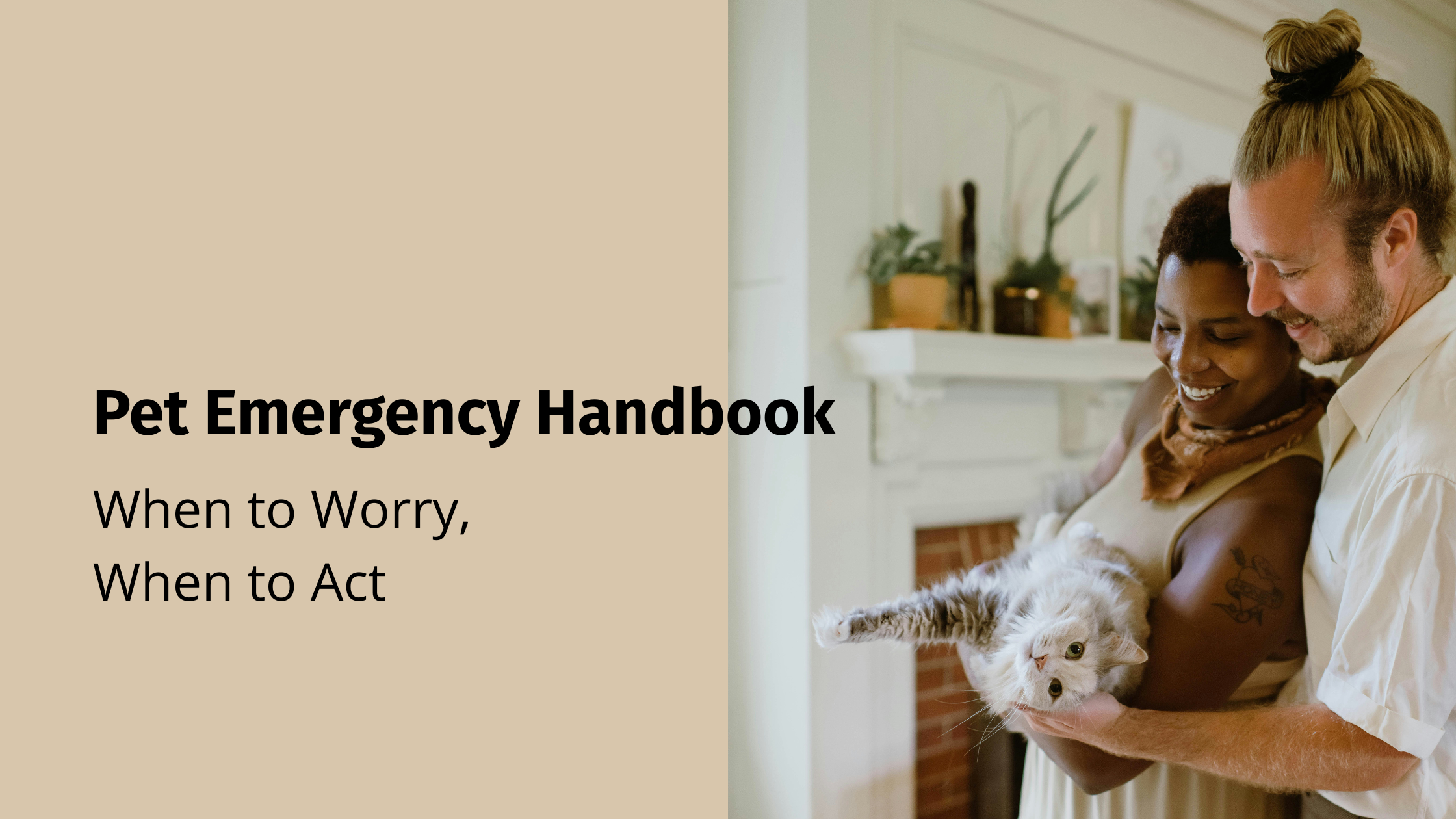 Pet Emergency Handbook: When to Worry, When to Act