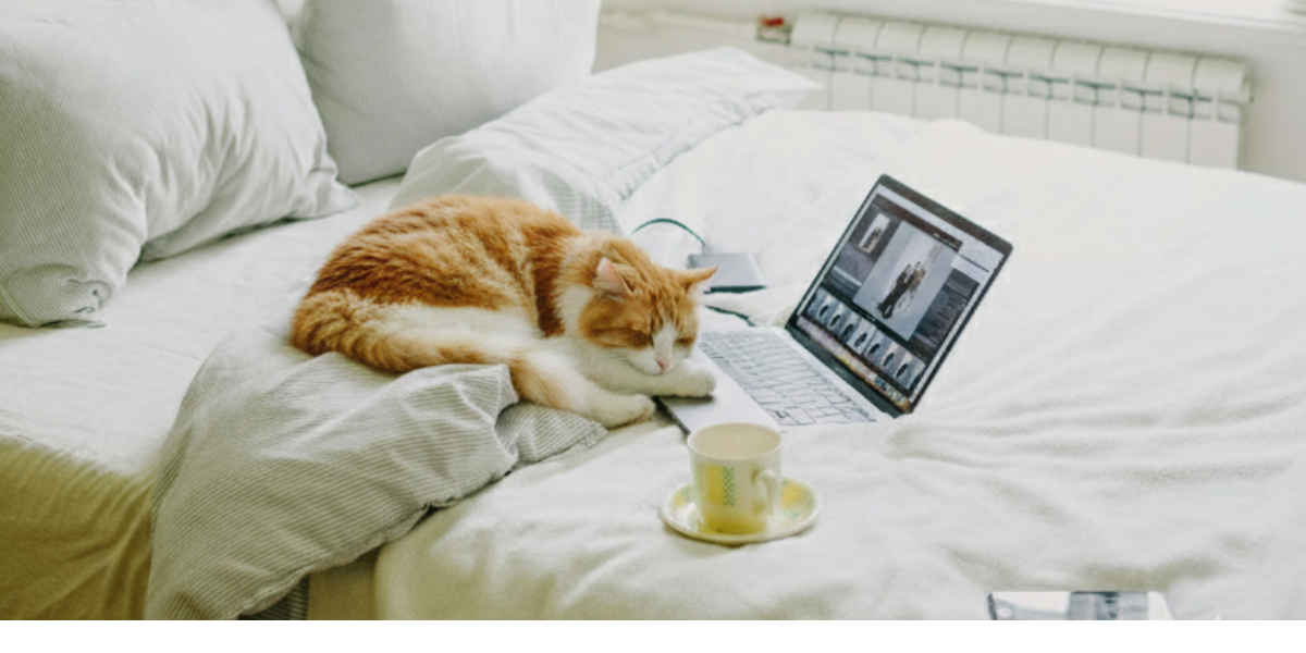 Working Remotely with Pets: Tips from Experienced Sitters